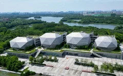 每家10万元！东莞2257家企业获“新升规”奖补资金